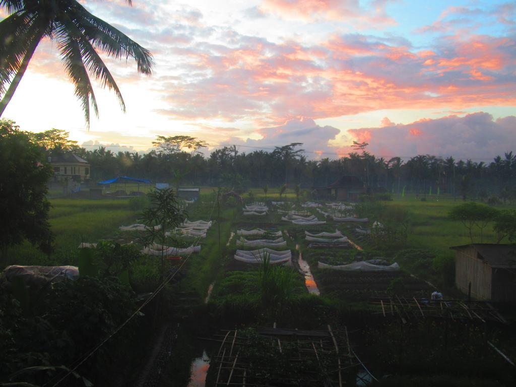 Hars Garden Tree Houses Hotel Ubud  Exterior photo